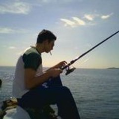 davs2007