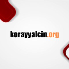 Koray Yalçın