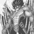 flymangas
