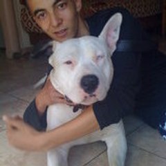 balench Amar