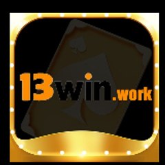 13winvninnet