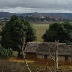 zamatiana