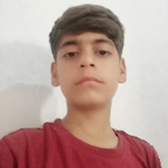 Ali Abbas Raza