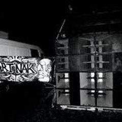 ArT-NaK