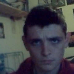 steenhaut