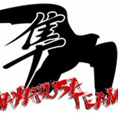 Team Hayabusa