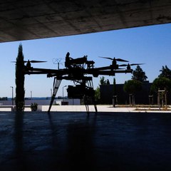 Dragonflyphotography