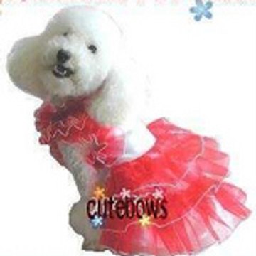 regina, maymind, zero