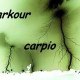 markitos_carpio