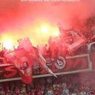 _rouge_