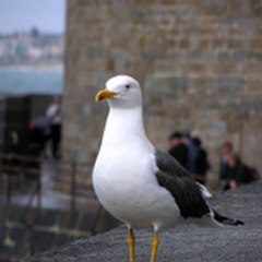 legabbian