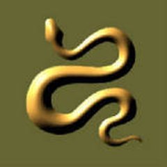 Snake2521