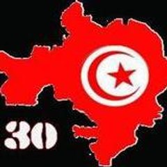 minibrawn30