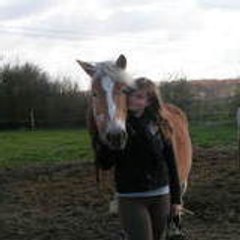 loveusehorses