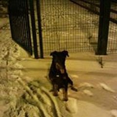 kyhoss