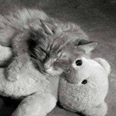fabien
