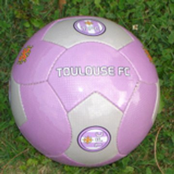 fansdutfc31