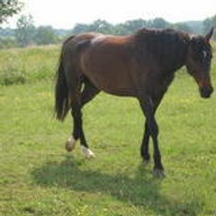 mimie84