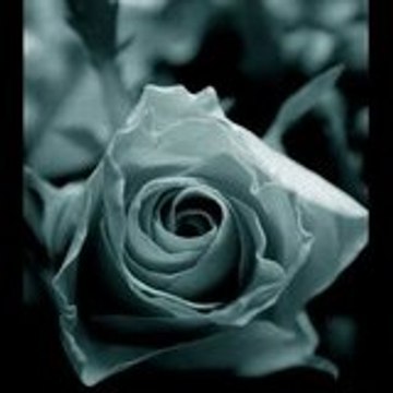 darkmel38