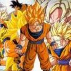sakussj4