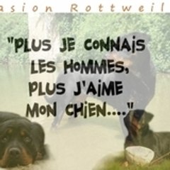clémentine orz