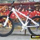 rolfyvttconliege