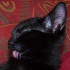 f0f571fd604253bedfd04fbd3