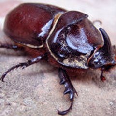 ScaryBio