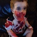 giantkillerjj
