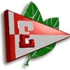 www.pincha-campeon.com.ar
