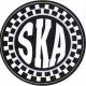 skatedestroy
