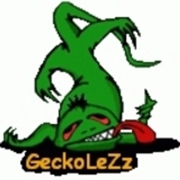 geckolezz