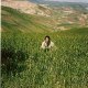 anouar24