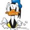 Donald_Duck