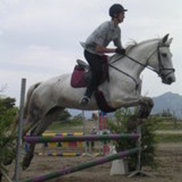 horseman05