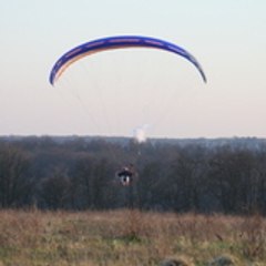 Pinoteau