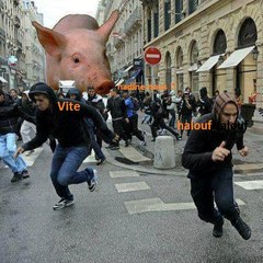 bourcel.pascal