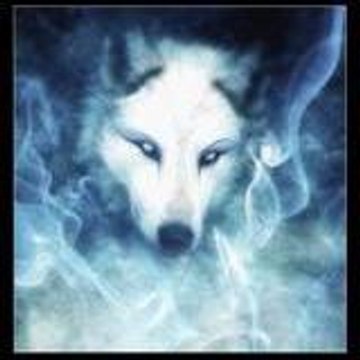 raphyky33