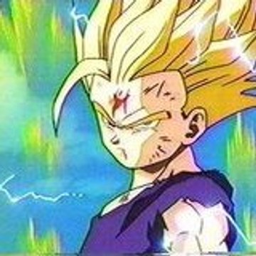 Dbz fan
