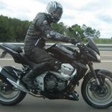 kamel13003