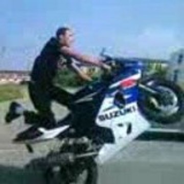 immat86