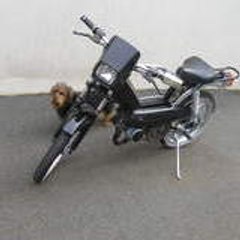 chien1992