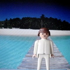 magicplaymobil