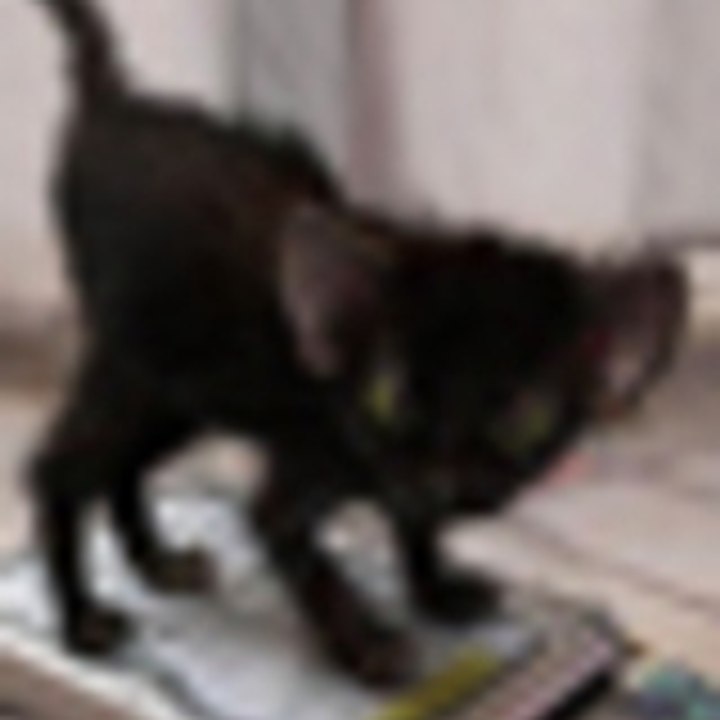 Dailymotion profile picture for @Joon