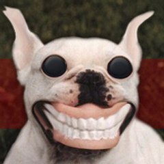 PiTBull_ThE_SeXyDoG