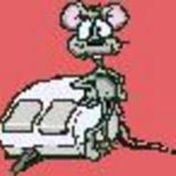sourisduweb