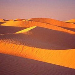 marwanef