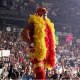 hulkamania4ever