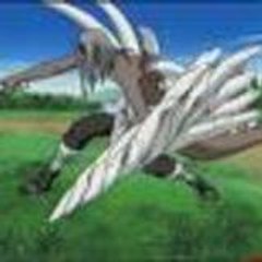 kimimar0