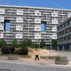 mafia85